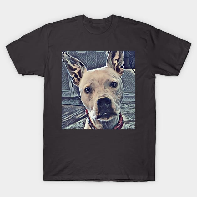 Zero The Pitbull T-Shirt by DAPFpod